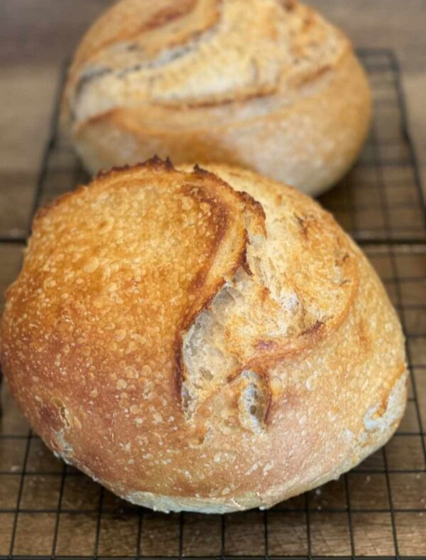 Country White Sourdough Loaf